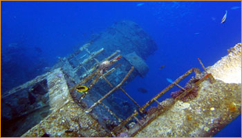 Thistlegorm and National Park Ras Mohammed