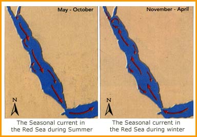 Currents and tides