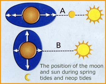 Currents and tides